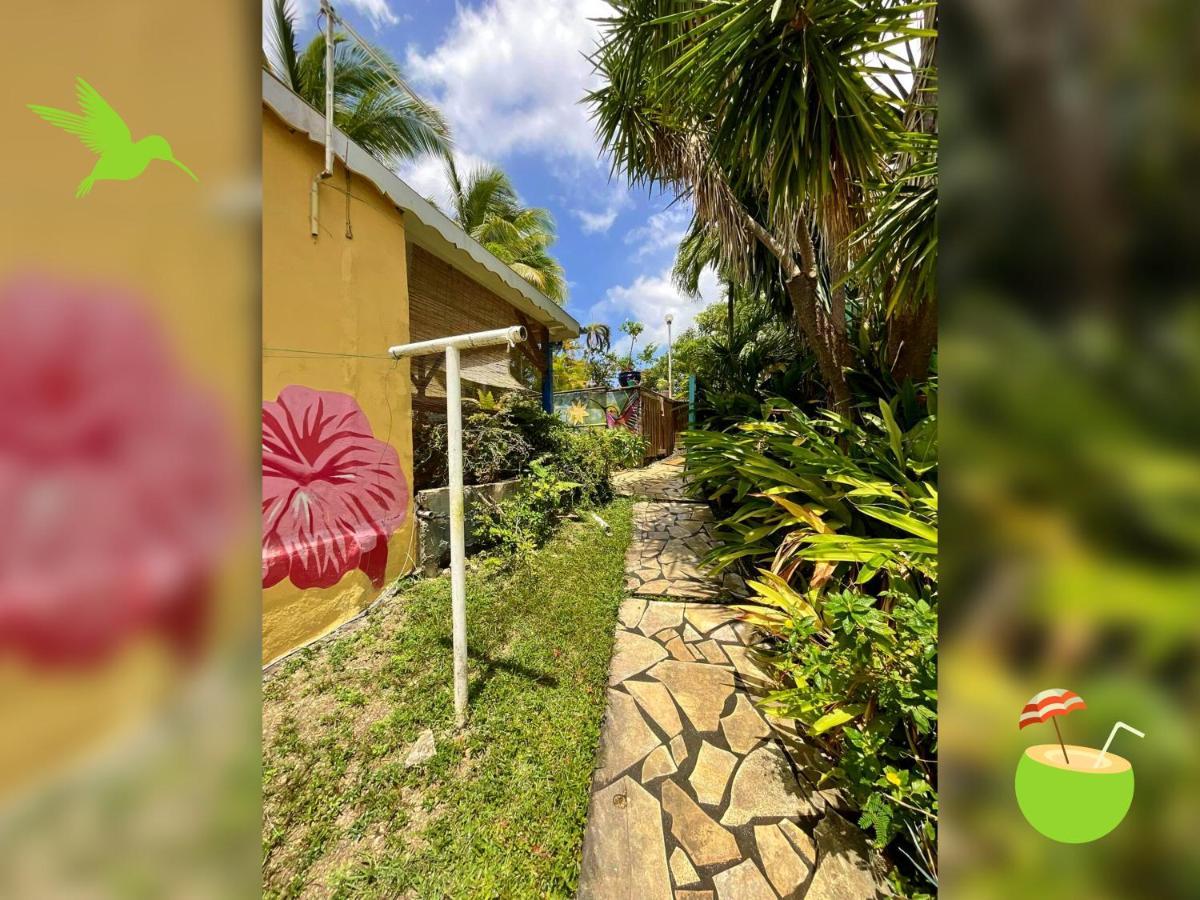 Villa Ti Bwa Carbet Cocon Dedans-Dehors Avec Roof Top En Guadeloupe Sainte-Anne  Exterior foto